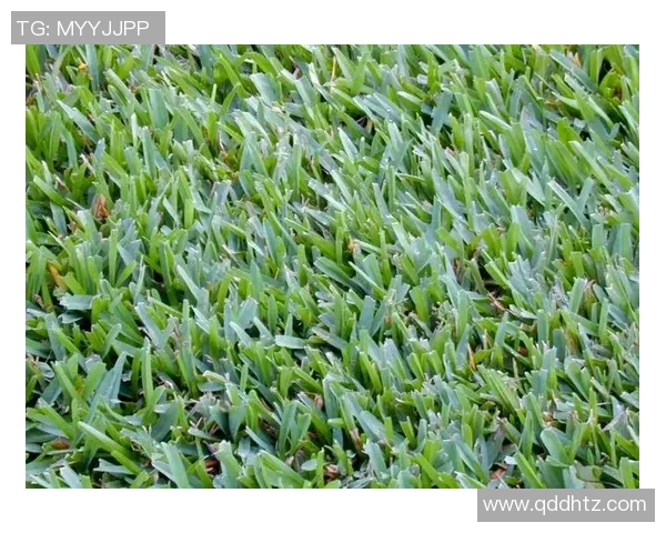 足球草地变色现象解析及其对比赛的影响探讨与应对策略